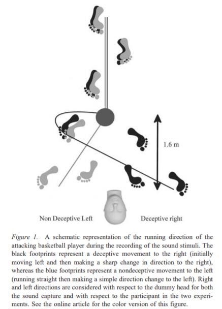 Research on sounds in sports